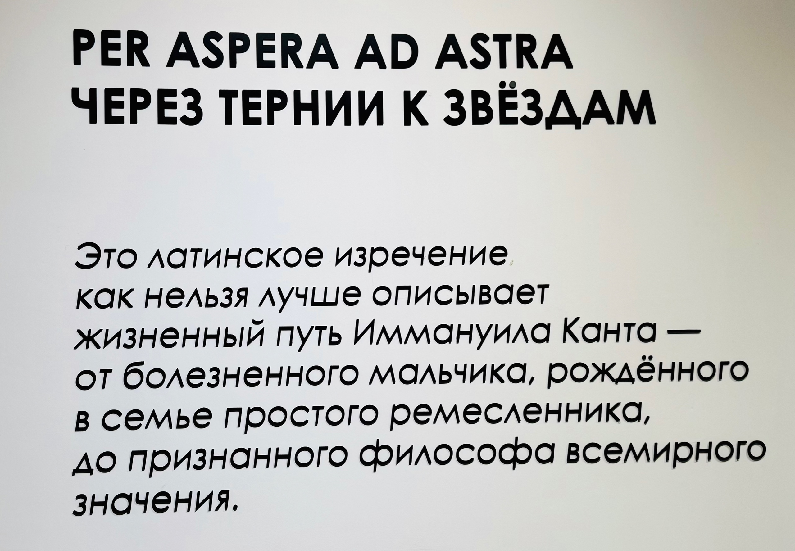 Калининград: четыре взгляда на город
